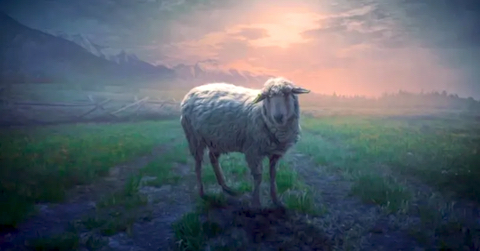 Prophecy News - 'The Faithful Shepherd Says: You Are Like Sheep Gone Astray!', given to William Brooks by Jesus, April 17th, 2024